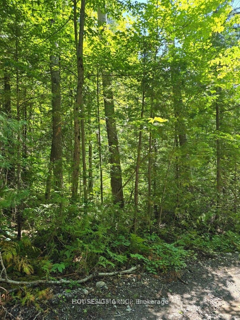 Property Photo: Pt Lt 3 Concession 8 Pt 123 N/A ON K0L 1V0