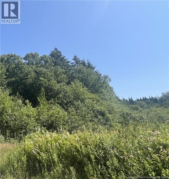 Property Photo:  Lot Rabbit Road  NB E4H 3R6 
