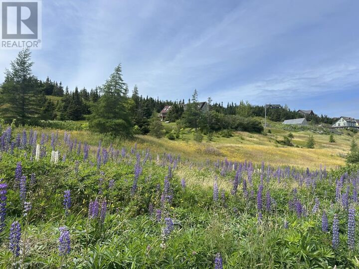 Property Photo: 32 Mill Road NL A0C 2H0