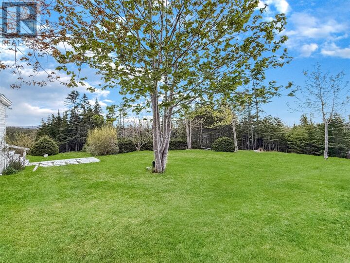 Property Photo:  204 Vineland Road  NL  