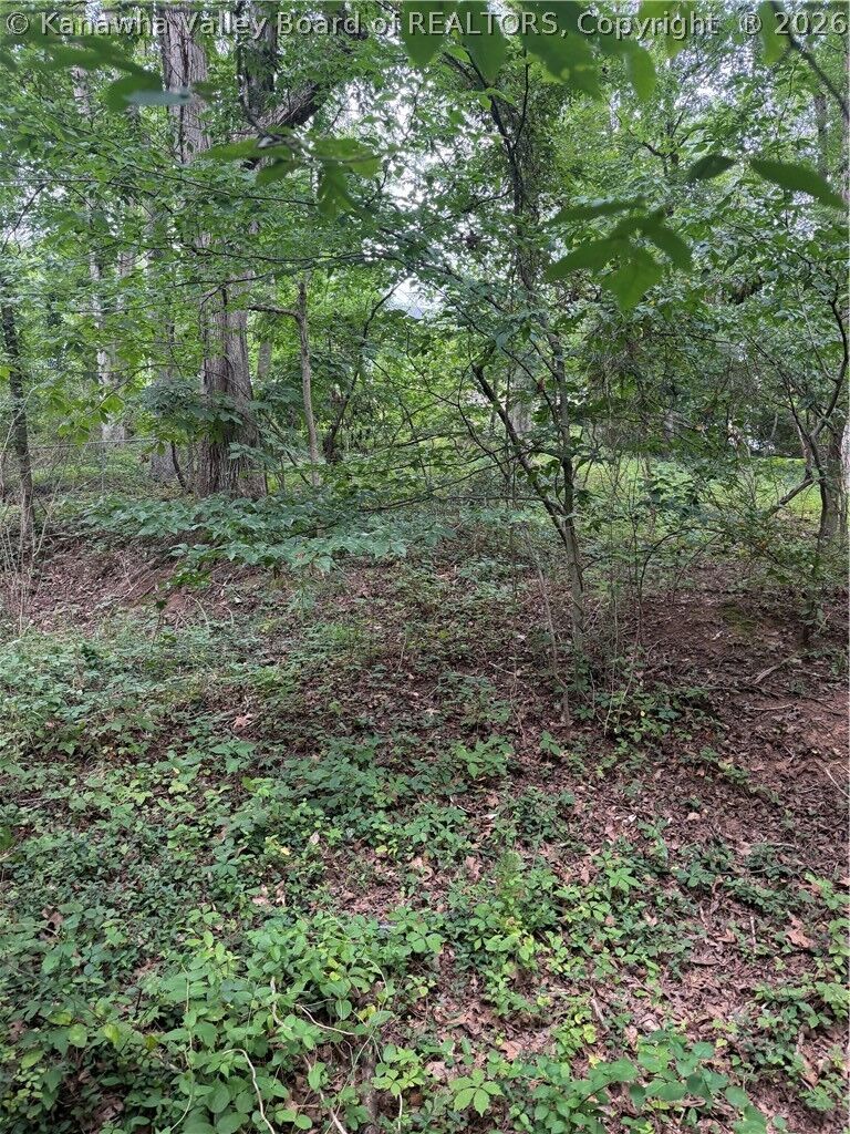 Property Photo:  0 Monument Drive  WV 25143 