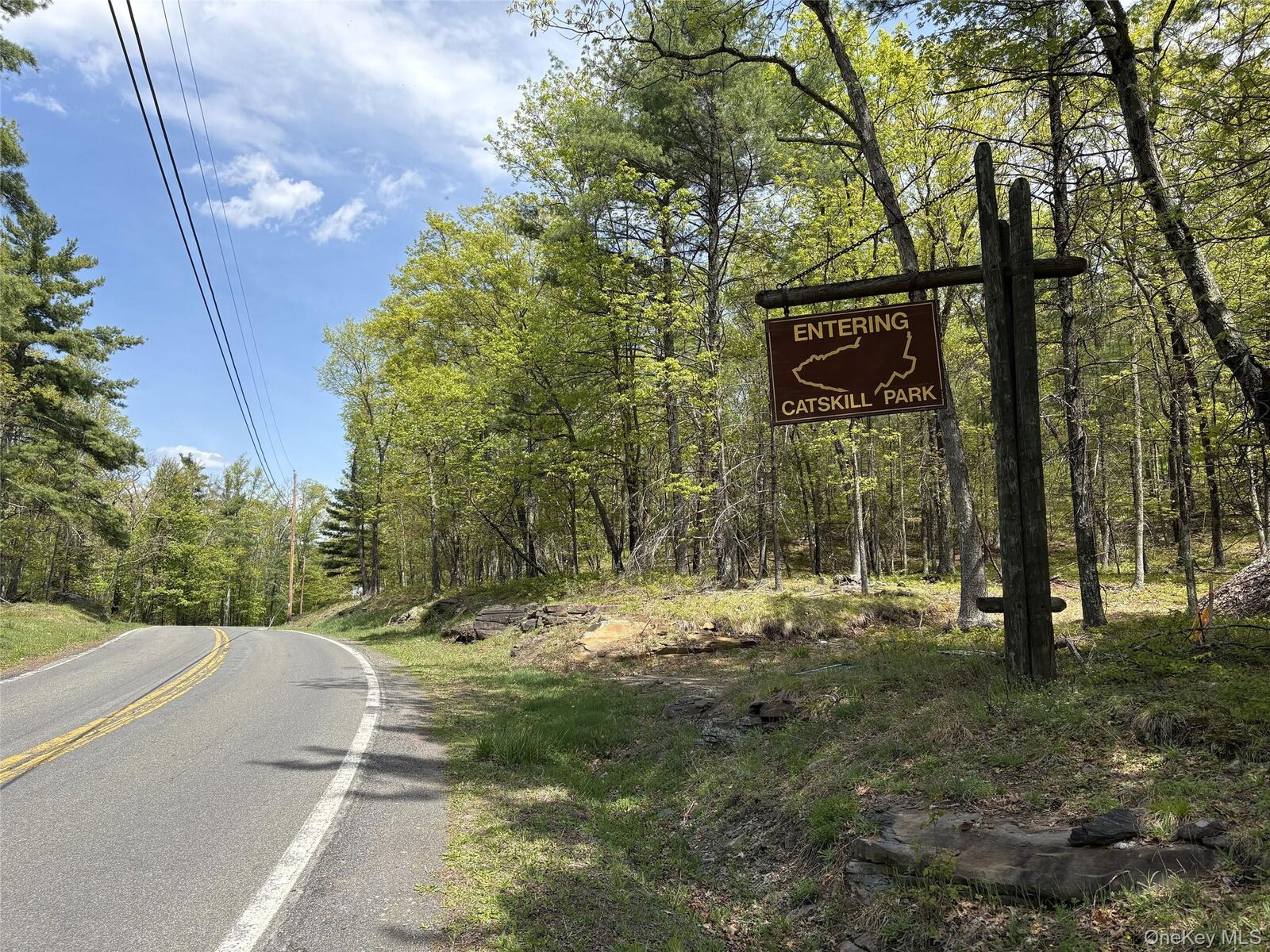 Property Photo:  Route 28A  NY 12443 