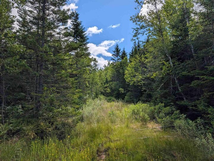 Property Photo:  80 Acres Dalrymple Rd Road  NS B0N 2L0 