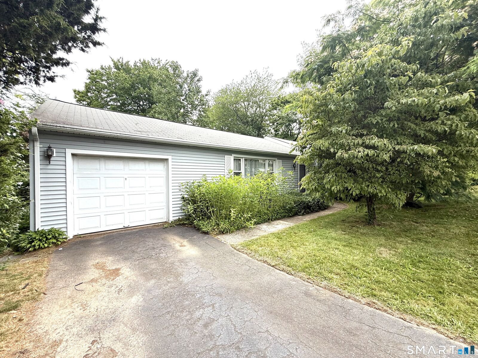Property Photo:  255 Morgan Lane  CT 06516 