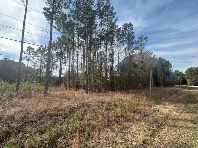 Property Photo: 4020 Jefferies Highway SC 29488