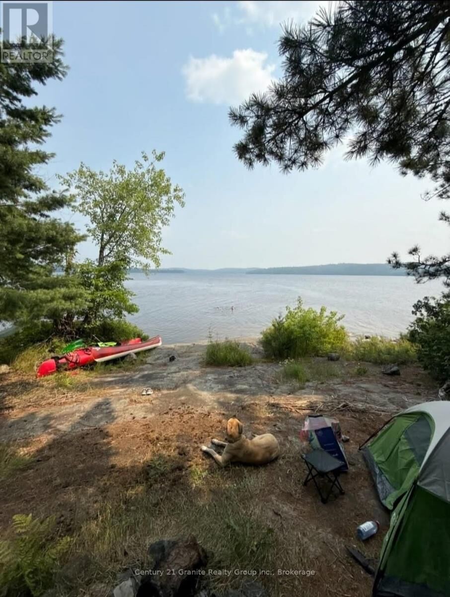 Property Photo:  0 Wawiagama Lake Wao  ON P0M 1H0 