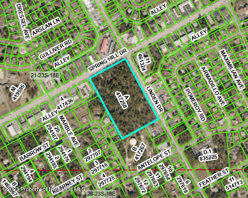 Property Photo: 0 Spring Hill Drive FL 34609