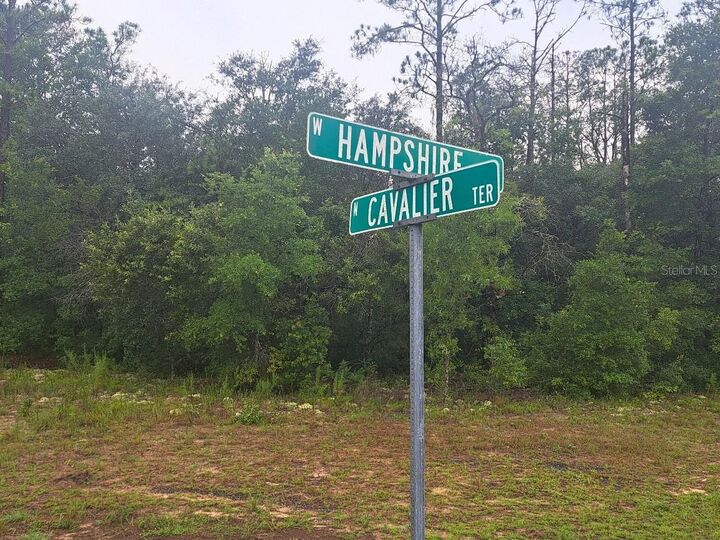 Property Photo: 6344 N Cavalier Terrace FL 34433