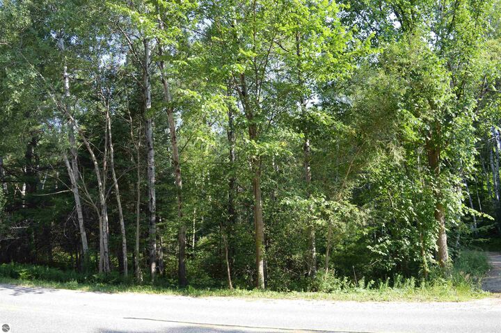 Property Photo:  Old M-72  MI 49646 