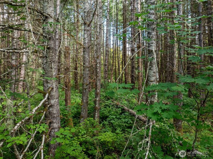 Property Photo:  28909  State Route 706  WA 98304 