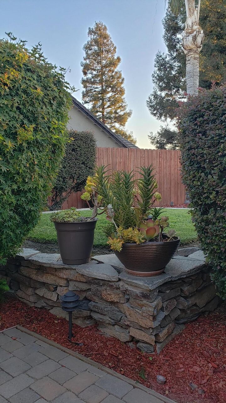 Property Photo: 3912 S Vickie Court CA 93277
