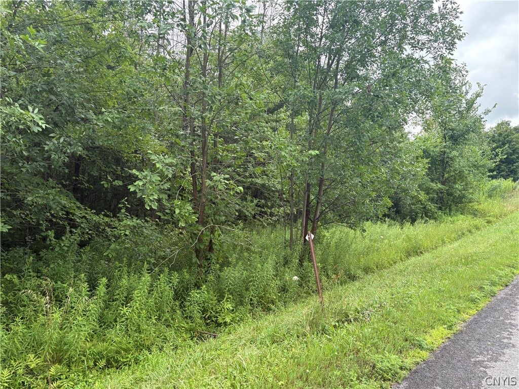 Property Photo:  Red School House Road  NY 13069 