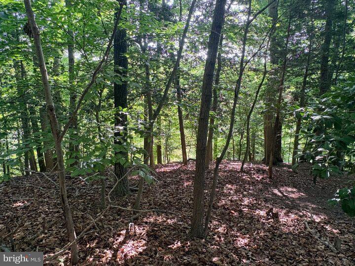Property Photo:  527 Beaumont Court  MD 20657 