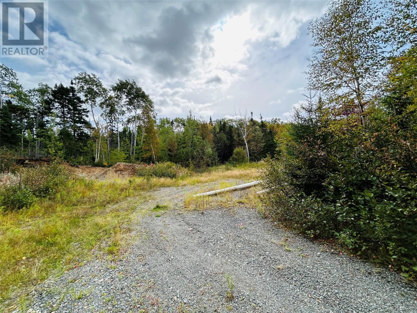 Property Photo:  117 Askels Cove Road  NL A0H 1Z0 