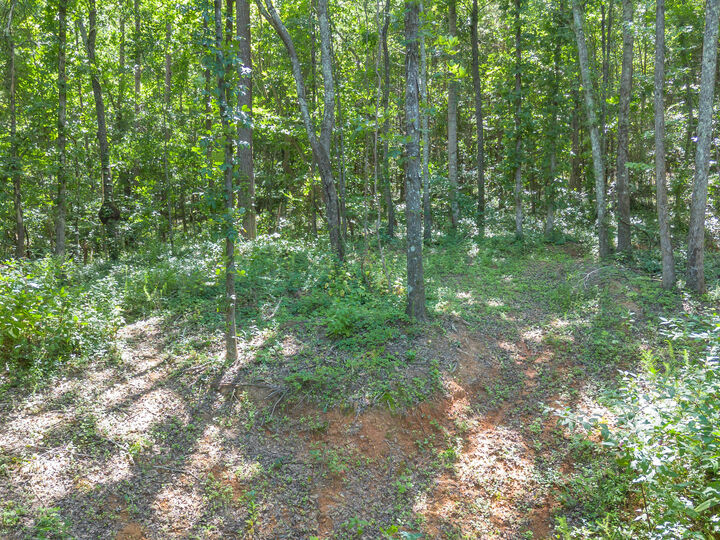 Property Photo:  5545 Francis Springs  TN 37397 