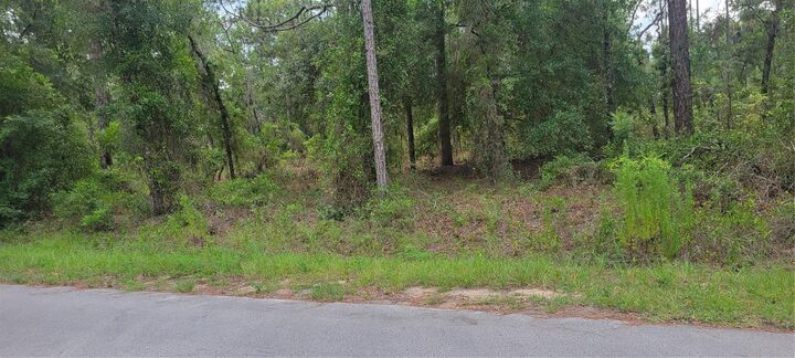 Property Photo:  0 NW Chestnut Avenue  FL 34431 