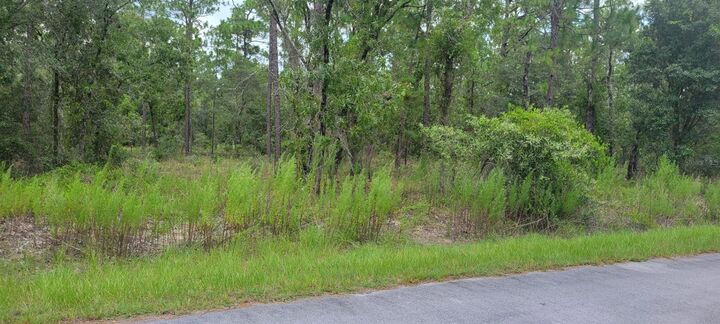 Property Photo:  0 NW Chestnut Avenue  FL 34431 