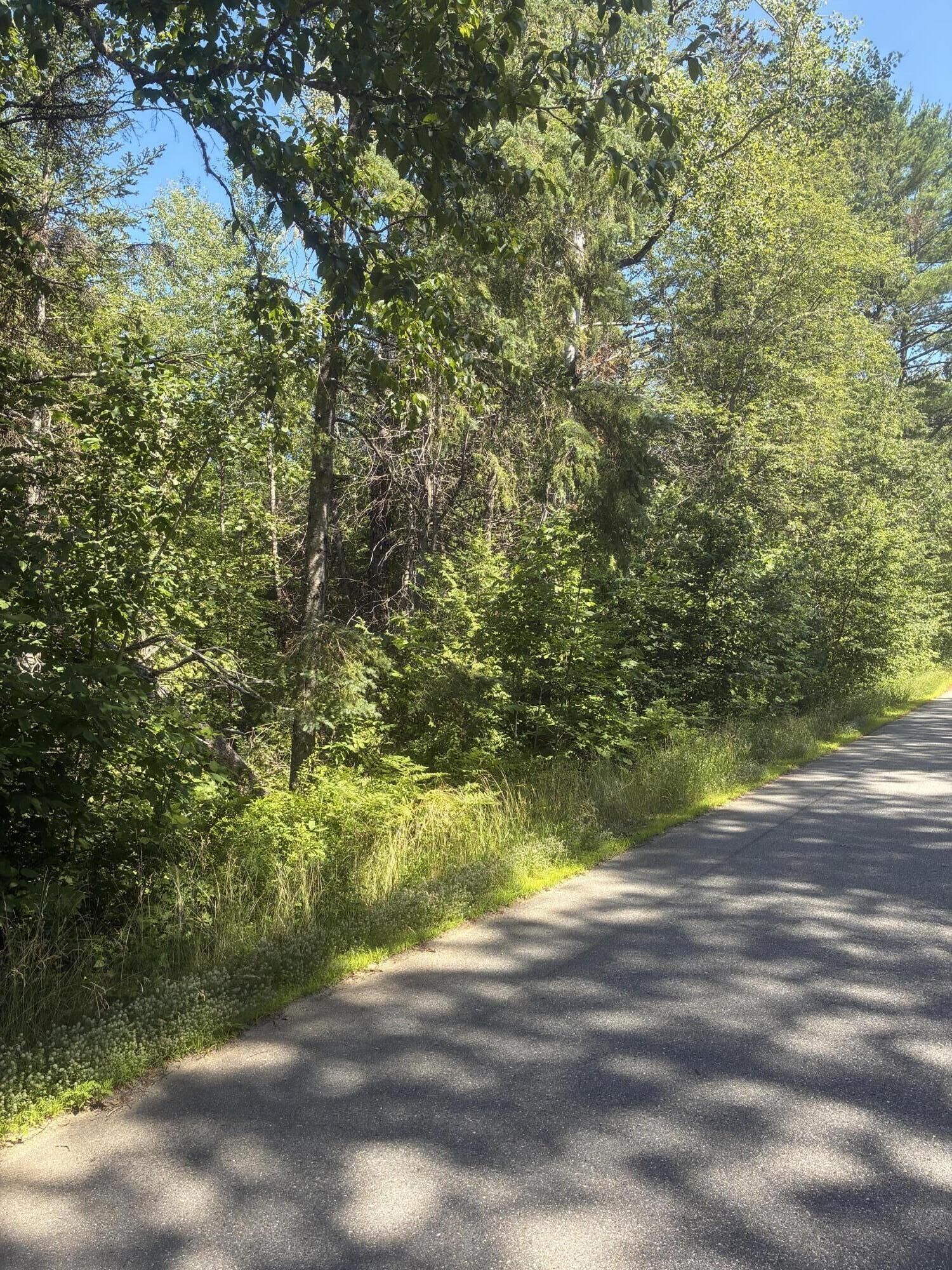 Property Photo:  M30 L1b Carson Road  ME 04619 