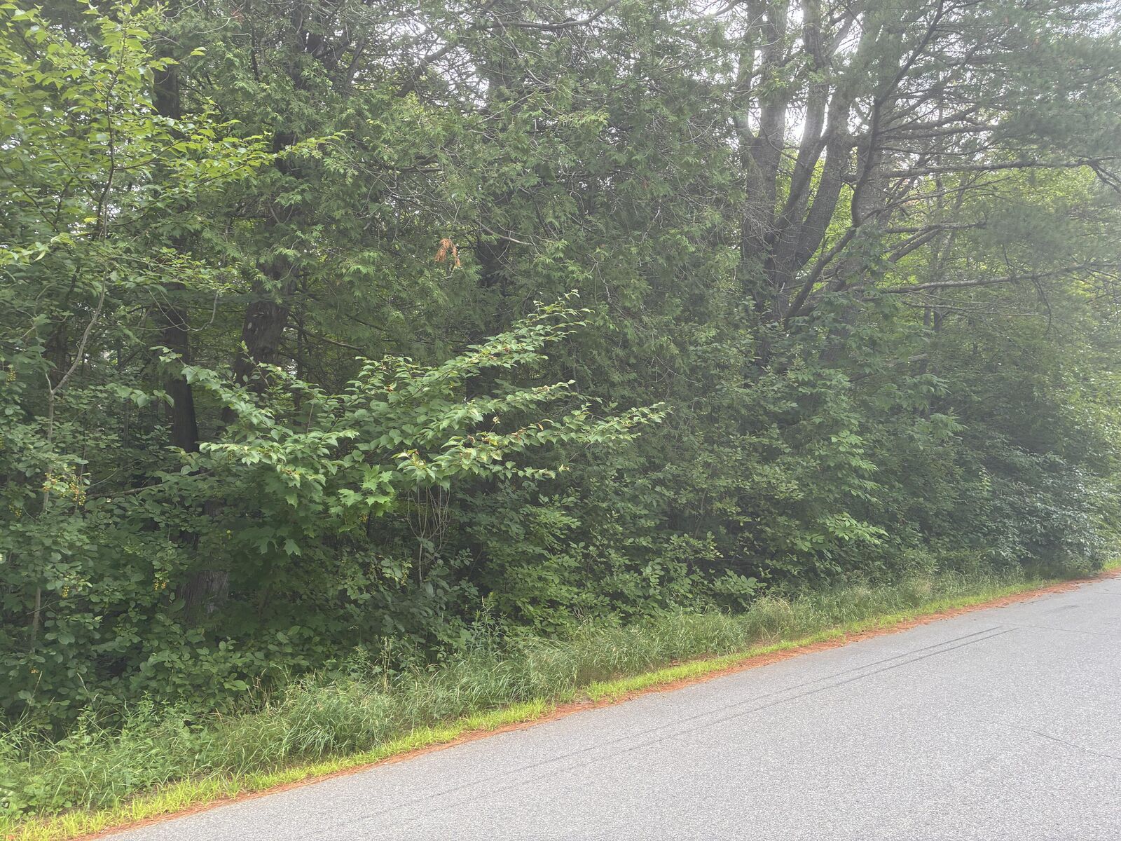 Property Photo:  M30 L1b Carson Road  ME 04619 
