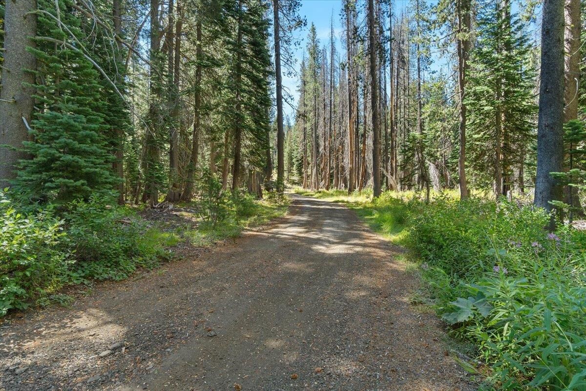 Property Photo: 20414 US Highway 50 CA 96155