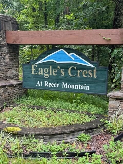 Property Photo:  Lt 43&44 Reece Mountain Road  GA 30536 