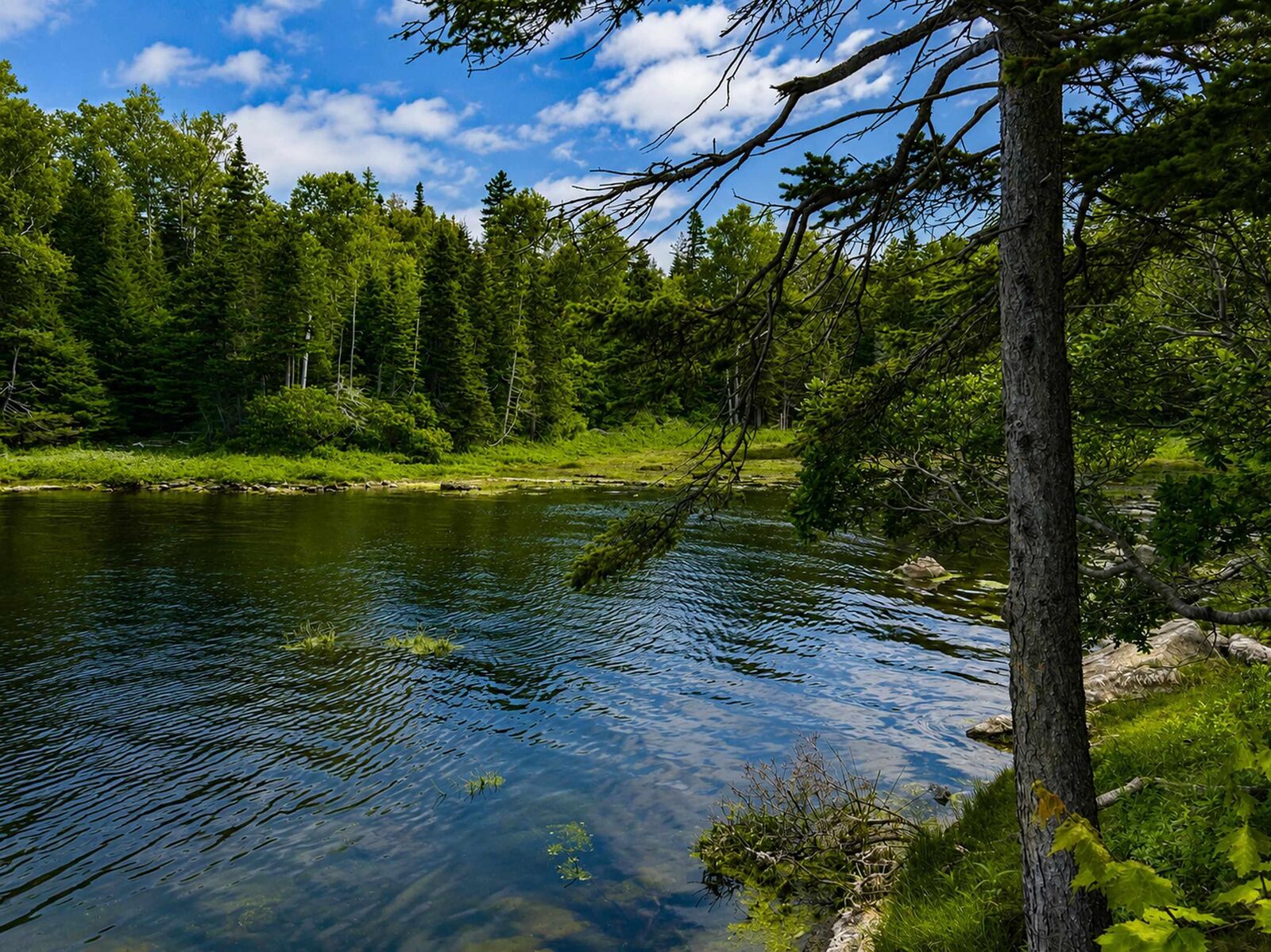 Property Photo:  Lot 4 Highway 104  NS B0H 1P0 