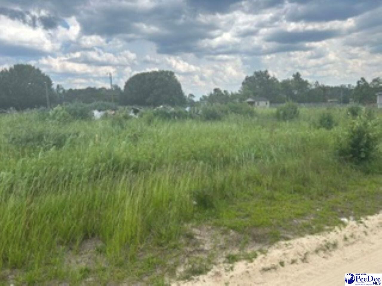 Property Photo:  2556 Shadeland Drive  SC 29547 