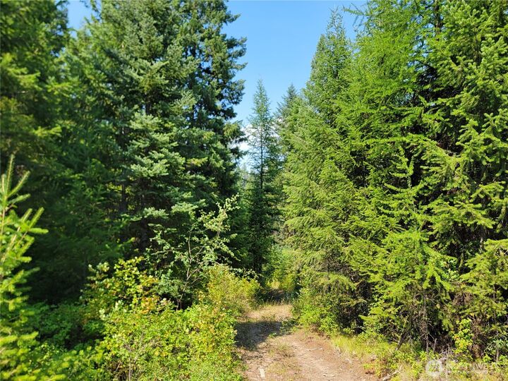 Property Photo: 181 New Hope Drive WA 99150