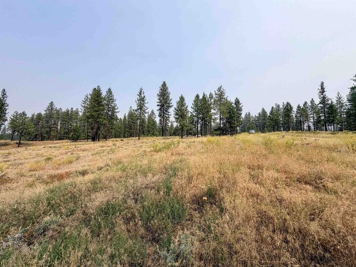 Property Photo:  1315 Inez Way  WA 99141 