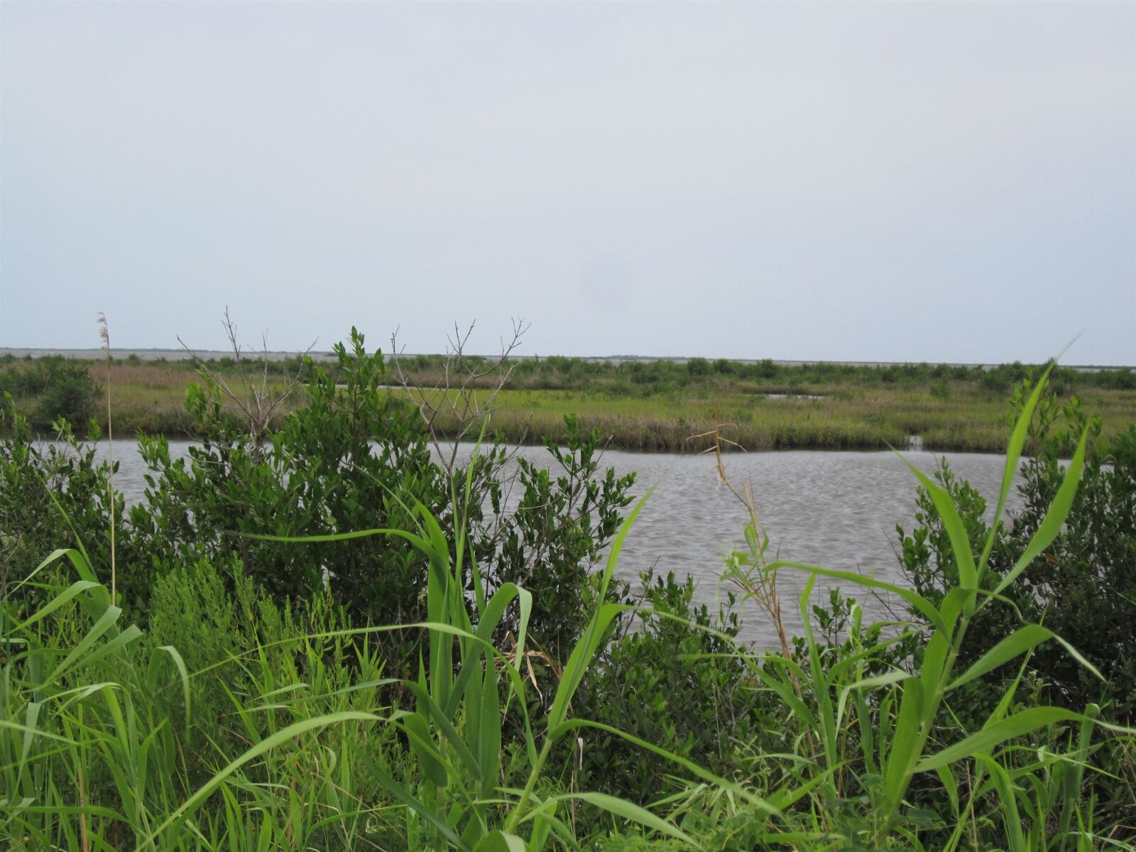 Property Photo:  Tbd Highway 1  LA 70357 