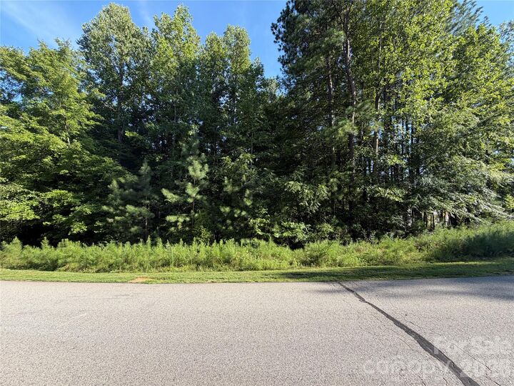 Property Photo:  621 Sunset Pointe Drive  NC 28146 