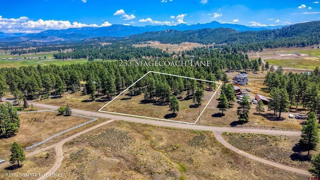 Property Photo: 233 Stagecoach Lane CO 81147