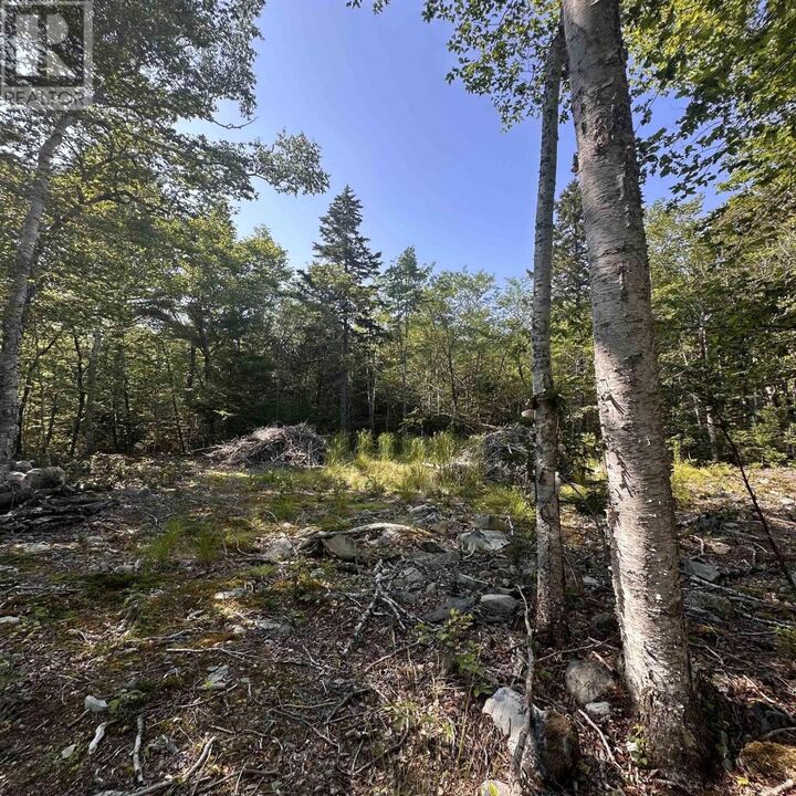 Property Photo:  Lot 49 Island View Terrace  NS B0T 1E0 