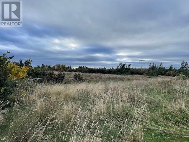 Property Photo:  4 Gabriel Drive  NL A0N 1T0 