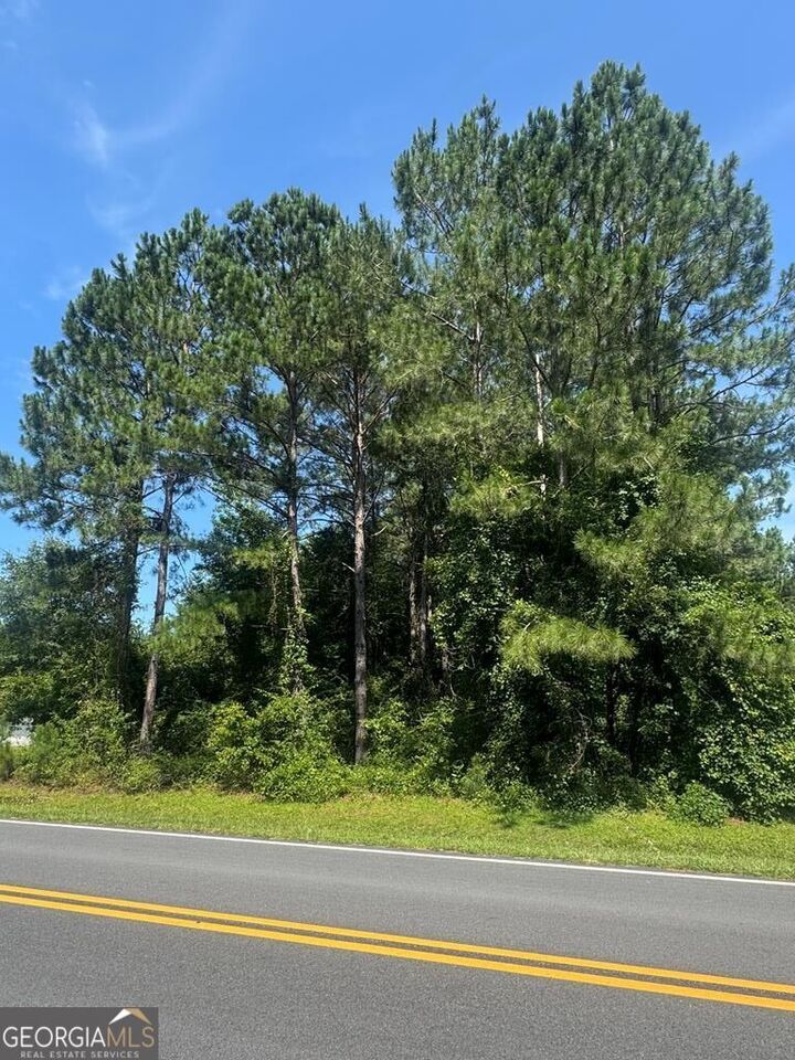 Property Photo: 0 Payne Road GA 31075