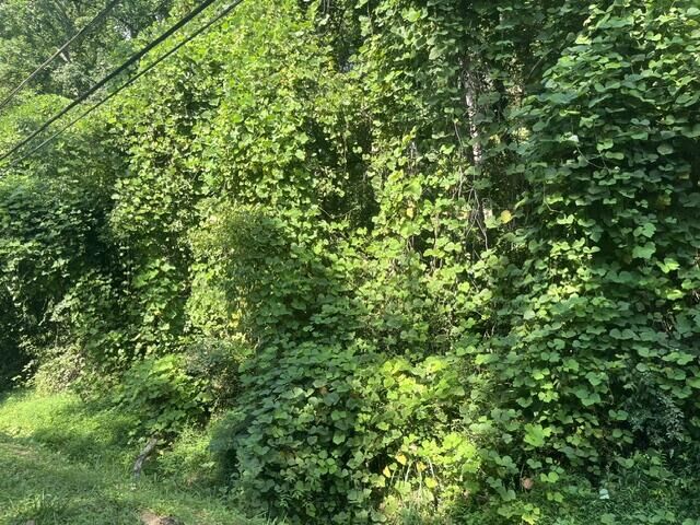 Property Photo:  8821 Gann Road  TN 37379 