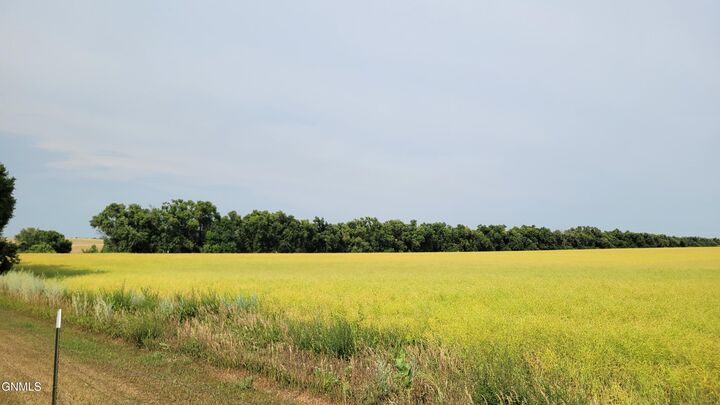Property Photo:  Tract 3 On 66th Street SE  ND 58501 