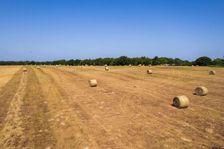 Property Photo: 940 E County Road 1106 TX 75482