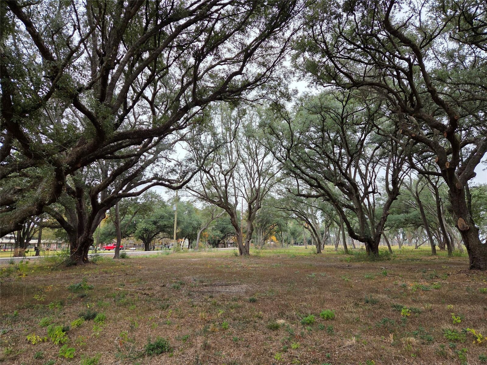 Property Photo:  00 Runneburg Road  TX 77532 