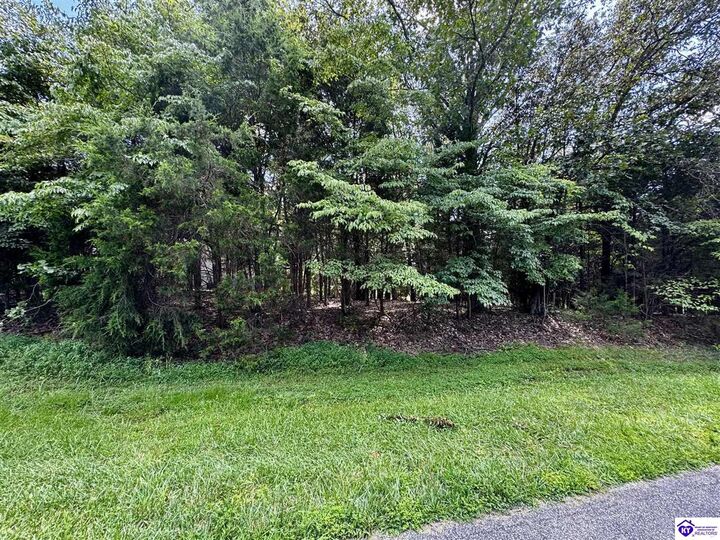 Property Photo:  Lot 240 Warbler Road  KY 40108 