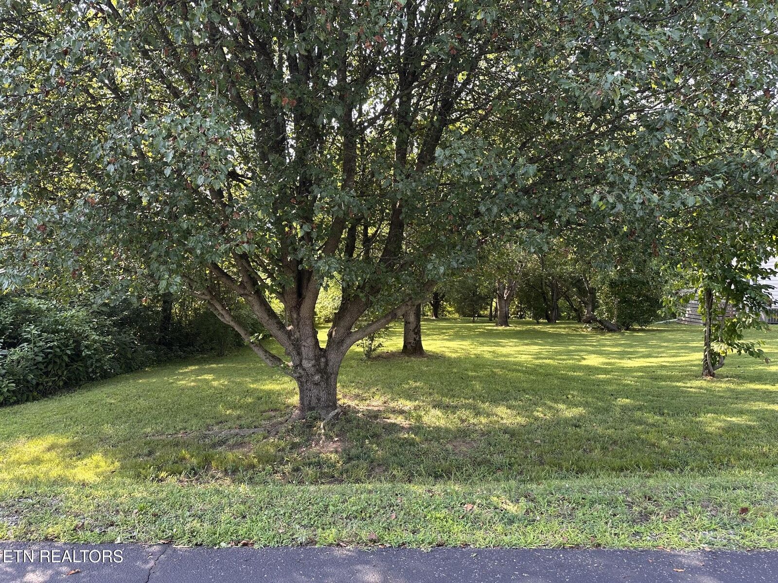 Property Photo: 135 Ogana Way TN 37774