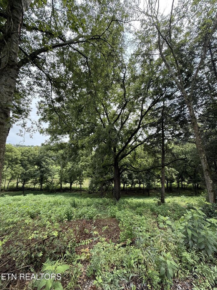 Property Photo:  Lot 1 Mitchell Rd  TN 37820 