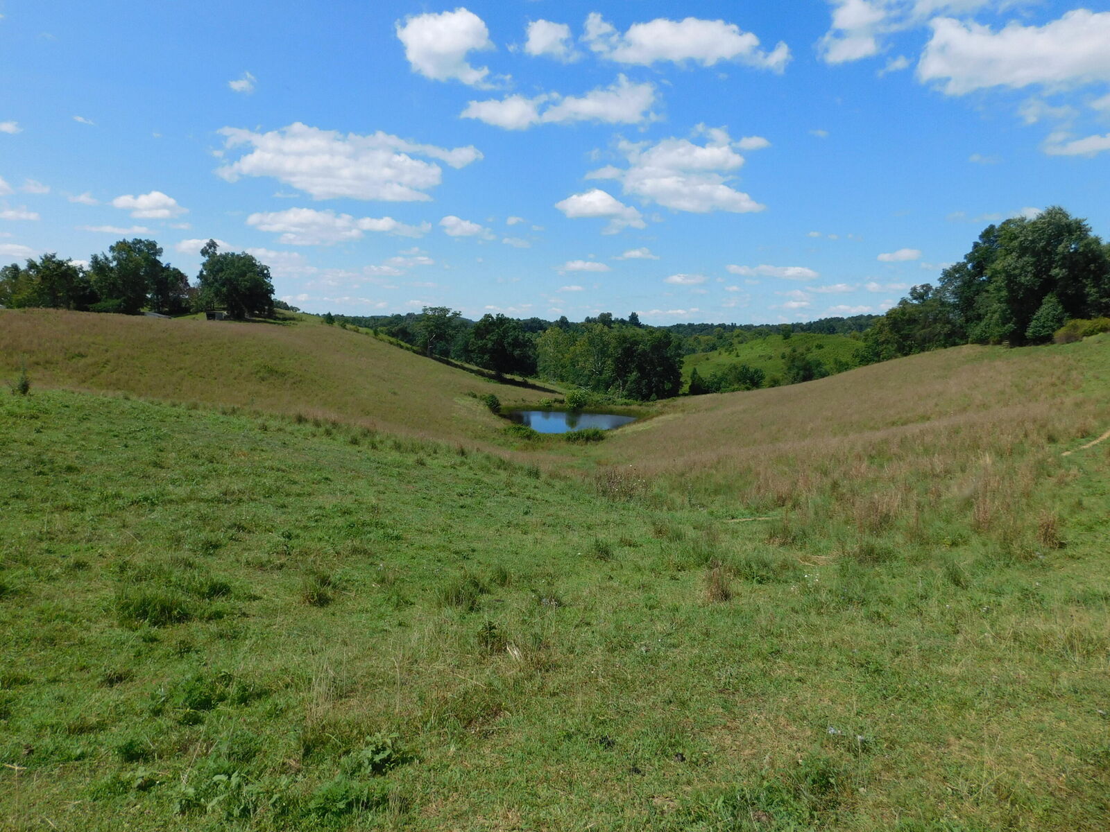 Property Photo: 390 Meeting House Branch Road KY 41425