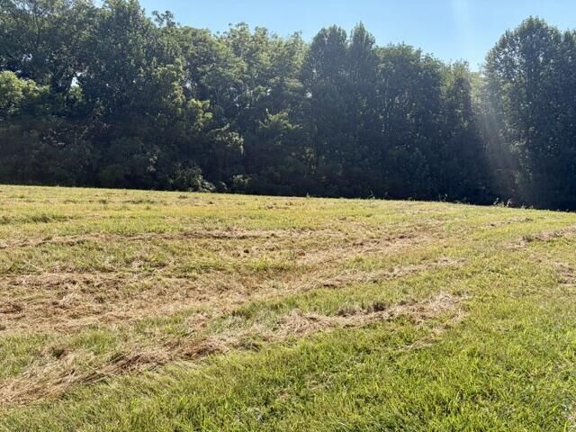 Property Photo:  Lot 24 C &Amp Lot 24D Emerald Lane  KY 42718 