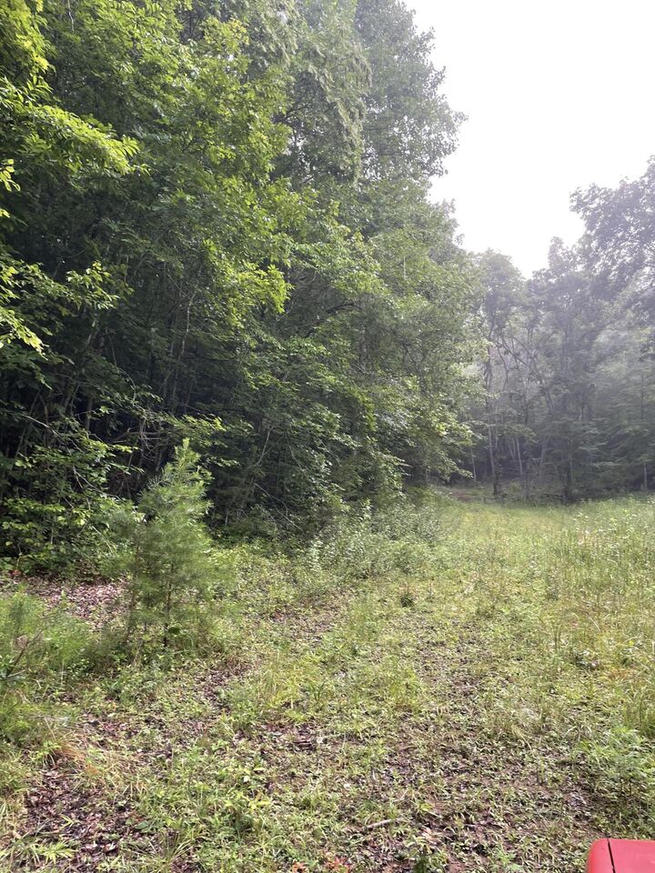 Property Photo: Tbd Bullen Valley Road TN 37881