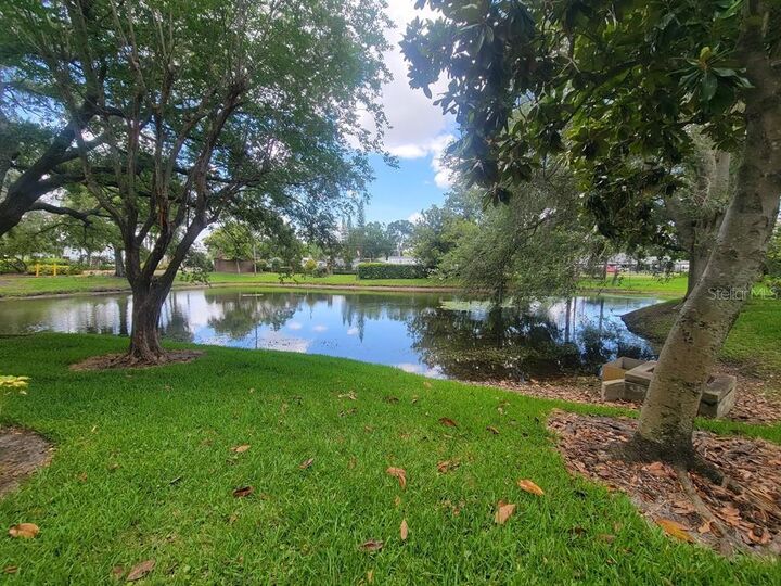 Property Photo: 10024 Strafford Oak Court 813 FL 33624
