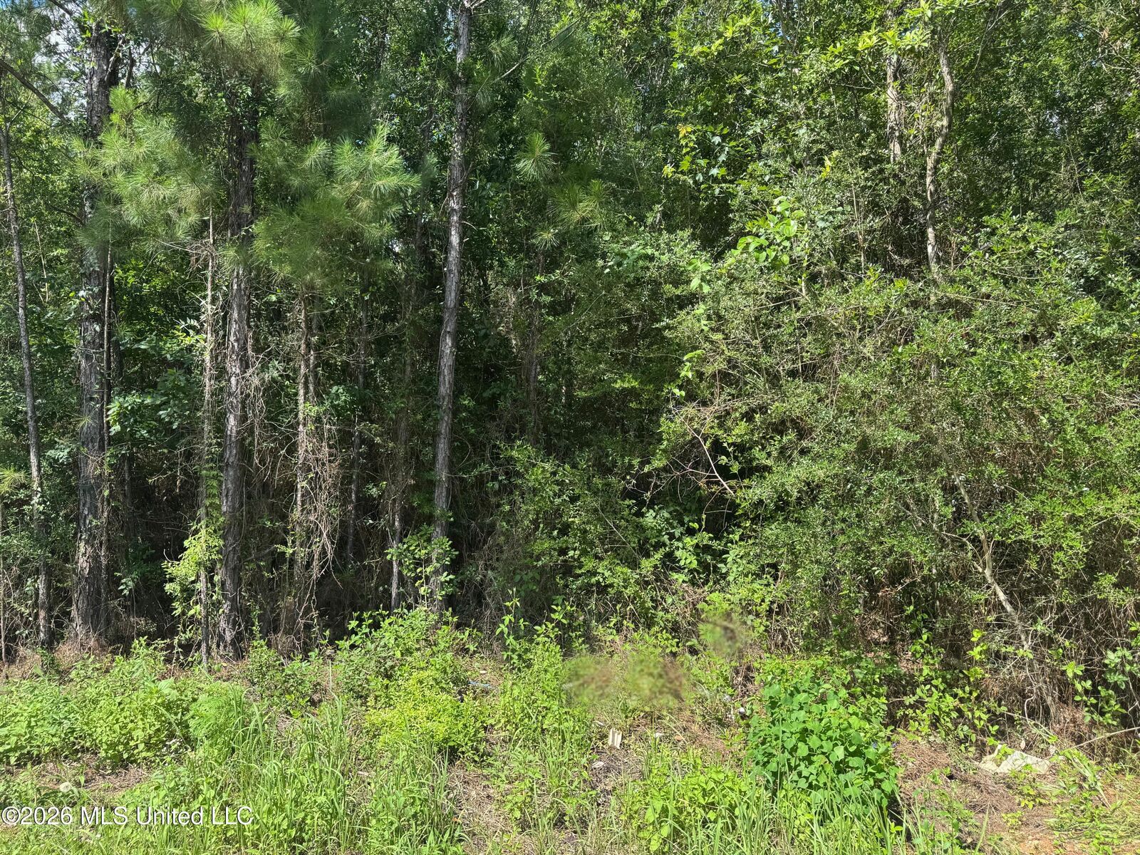 Property Photo:  000 Schrader Court  MS 39574 