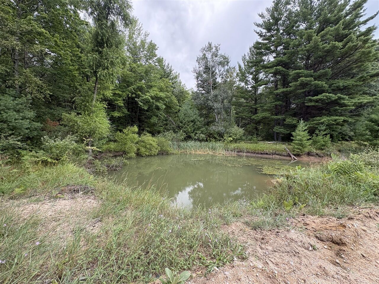 Property Photo: Vl 5 Mile Road MI 49336