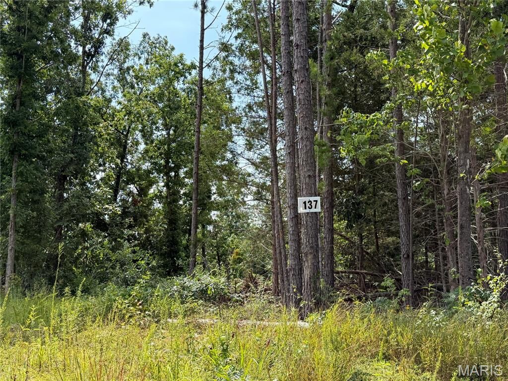 Property Photo:  #137 Madison 410  MO 63645 