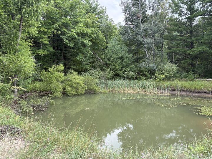Property Photo: Vl 5 Mile Road MI 49336